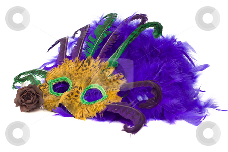 To use this stock image in your creative project, please select the size you need over to the right and click the "Add to Cart" button.
Your downloaded image will come with the Cutcaster watermark removed so don’t worry about the watermark you see on this page. Isolated Mask stock photo, A feather mask isolated with a dried red rose by Richard Nelson