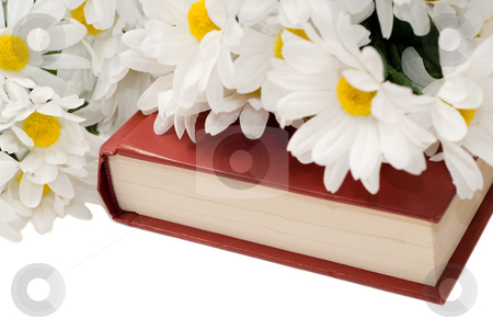 To use this stock image in your creative project, please select the size you need over to the right and click the "Add to Cart" button.
Your downloaded image will come with the Cutcaster watermark removed so don’t worry about the watermark you see on this page. Romance Novel stock photo, Closeup view of a romance novel with some fake daisies sitting on top, isolated against a white background by Richard Nelson