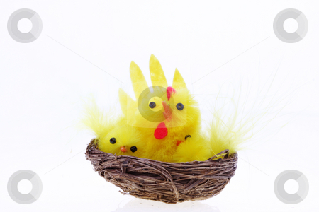 To use this stock image in your creative project, please select the size you need over to the right and click the "Add to Cart" button.
Your downloaded image will come with the Cutcaster watermark removed so don’t worry about the watermark you see on this page. Easter chickens stock photo, Easter background with decorative chickens in a nest by Christopher Meder