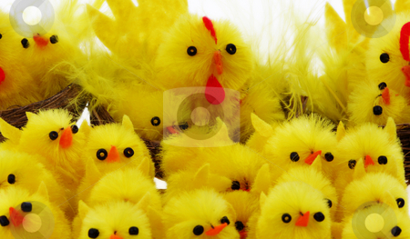 To use this stock image in your creative project, please select the size you need over to the right and click the "Add to Cart" button.
Your downloaded image will come with the Cutcaster watermark removed so don’t worry about the watermark you see on this page. Easter chickens stock photo, Easter background with decorative chickens in a nest by Christopher Meder