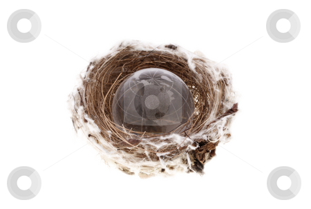 To use this stock image in your creative project, please select the size you need over to the right and click the "Add to Cart" button.
Your downloaded image will come with the Cutcaster watermark removed so don’t worry about the watermark you see on this page. Earth globe in bird's nest stock photo, Earth globe in bird's nest over white background by Christopher Meder