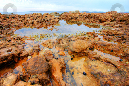 To use this stock image in your creative project, please select the size you need over to the right and click the "Add to Cart" button.
Your downloaded image will come with the Cutcaster watermark removed so don’t worry about the watermark you see on this page. Rocks Pools stock photo, Rock pools against a cloudy sky in Eden, NSW by Christopher Meder