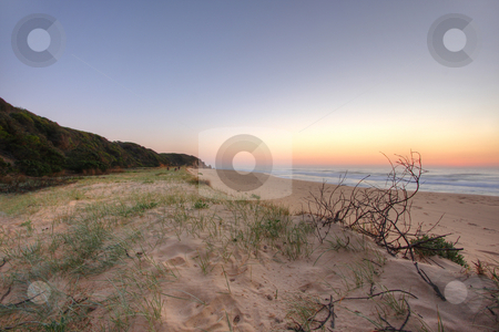 To use this stock image in your creative project, please select the size you need over to the right and click the "Add to Cart" button.
Your downloaded image will come with the Cutcaster watermark removed so don’t worry about the watermark you see on this page. Seascape Dawn stock photo, Sunrise by the beach in Tathra, NSW by Christopher Meder