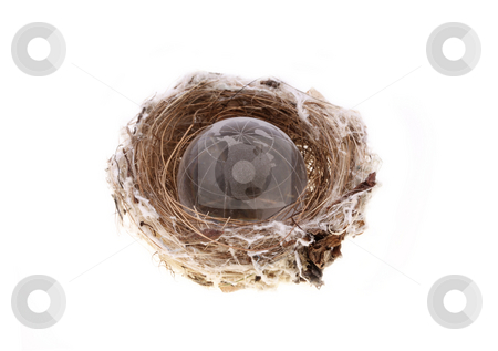 To use this stock image in your creative project, please select the size you need over to the right and click the "Add to Cart" button.
Your downloaded image will come with the Cutcaster watermark removed so don’t worry about the watermark you see on this page. Earth globe in bird's nest stock photo, Earth globe in bird's nest over white background by Christopher Meder