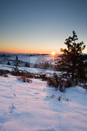 To use this stock image in your creative project, please select the size you need over to the right and click the "Add to Cart" button.
Your downloaded image will come with the Cutcaster watermark removed so don’t worry about the watermark you see on this page. Winter Sunrise stock photo, Sunrise atop a ridge along the Tieton River in the dead of Winter by Mike Dawson