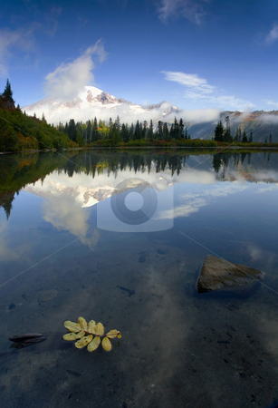 To use this stock image in your creative project, please select the size you need over to the right and click the "Add to Cart" button.
Your downloaded image will come with the Cutcaster watermark removed so don’t worry about the watermark you see on this page. Majesty Revealed stock photo, Mt. Rainier revealing itself behind low morning clouds on a crisp autumn morning at Bench Lake by Mike Dawson