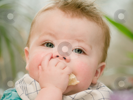 To use this stock image in your creative project, please select the size you need over to the right and click the "Add to Cart" button.
Your downloaded image will come with the Cutcaster watermark removed so don’t worry about the watermark you see on this page. Portrait of a cute young baby boy eating stock photo, Portrait of a cute young baby boy eating by Phillip Dyhr Hobbs