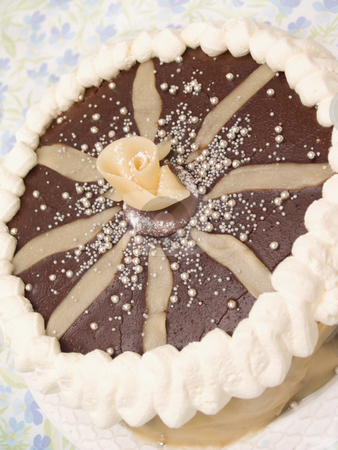 To use this stock image in your creative project, please select the size you need over to the right and click the "Add to Cart" button.
Your downloaded image will come with the Cutcaster watermark removed so don’t worry about the watermark you see on this page. Delicous sweet layer cake with chocolate icing stock photo, Delicous sweet layer cake with chocolate icing by Phillip Dyhr Hobbs