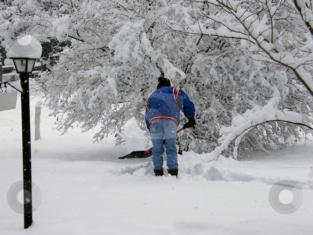 To use this stock image in your creative project, please select the size you need over to the right and click the "Add to Cart" button.
Your downloaded image will come with the Cutcaster watermark removed so don’t worry about the watermark you see on this page. Man Shoveling Snow stock photo, Man Shoveling Snow after a snow storm. by Dazz Lee Photography