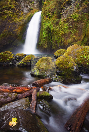To use this stock image in your creative project, please select the size you need over to the right and click the "Add to Cart" button.
Your downloaded image will come with the Cutcaster watermark removed so don’t worry about the watermark you see on this page. Wahclella stock photo, Wahclella Falls surges through a narrow gorge as it rushes down to the Columbia River by Mike Dawson
