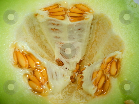 To use this stock image in your creative project, please select the size you need over to the right and click the "Add to Cart" button.
Your downloaded image will come with the Cutcaster watermark removed so don’t worry about the watermark you see on this page. Honeydew Melon stock photo, by Michael Felix