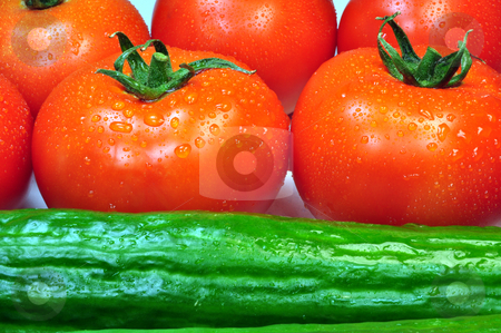 To use this stock image in your creative project, please select the size you need over to the right and click the "Add to Cart" button.
Your downloaded image will come with the Cutcaster watermark removed so don’t worry about the watermark you see on this page. Tomatoes and cucumbers stock photo, Fresh vegetables, tomatoes and cucumbers by Fernando Barozza