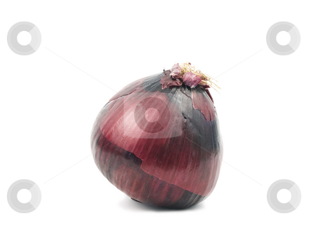 To use this stock image in your creative project, please select the size you need over to the right and click the "Add to Cart" button.
Your downloaded image will come with the Cutcaster watermark removed so don’t worry about the watermark you see on this page. Onion on white stock photo, Red Onion on a white background with shadow by John Teeter