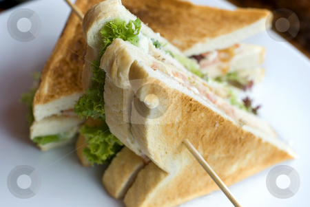 To use this stock image in your creative project, please select the size you need over to the right and click the "Add to Cart" button.
Your downloaded image will come with the Cutcaster watermark removed so don’t worry about the watermark you see on this page. Club sandwich stock photo, A toasted club sandwich photographed with a narrow depth of field by Stephen Gibson