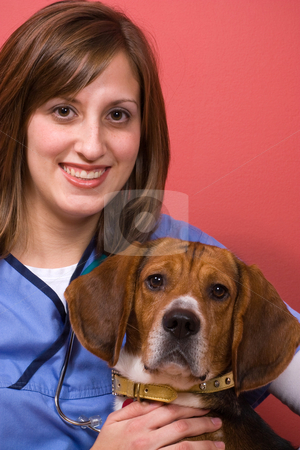 To use this stock image in your creative project, please select the size you need over to the right and click the "Add to Cart" button.
Your downloaded image will come with the Cutcaster watermark removed so don’t worry about the watermark you see on this page. Veterinarian With a Beagle stock photo, A veterinarian posing with a purebred beagle dog. by Todd Arena