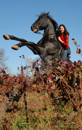 To use this stock image in your creative project, please select the size you need over to the right and click the "Add to Cart" button.
Your downloaded image will come with the Cutcaster watermark removed so don’t worry about the watermark you see on this page. Rearing stallion stock photo, Rearing black stallion and young woman in vineyard in autumn by Bonzami Emmanuelle