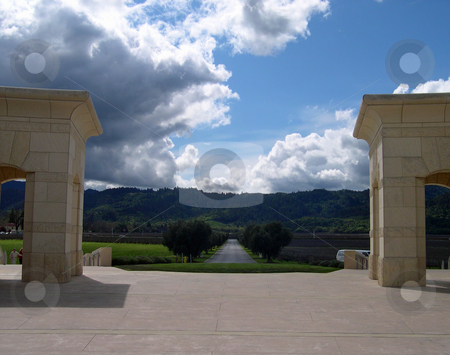 To use this stock image in your creative project, please select the size you need over to the right and click the "Add to Cart" button.
Your downloaded image will come with the Cutcaster watermark removed so don’t worry about the watermark you see on this page. View from Opus One winery stock photo, View from Opus One winery in Napa California by Jaime Pharr