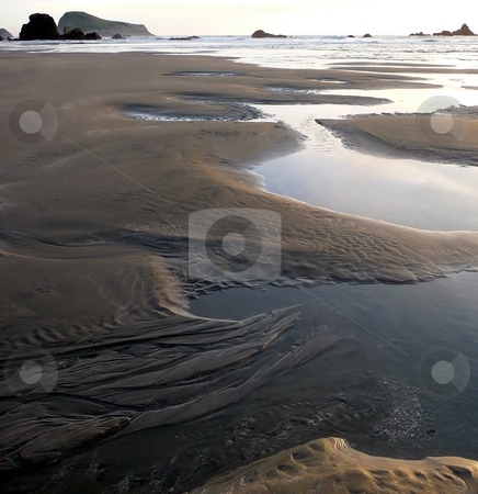To use this stock image in your creative project, please select the size you need over to the right and click the "Add to Cart" button.
Your downloaded image will come with the Cutcaster watermark removed so don’t worry about the watermark you see on this page. Reflective tidepools on sandy beach stock photo, Tidepools reflect the sky along a sandy Oregon beach by Jill Reid
