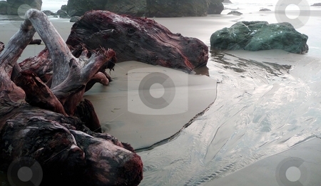 To use this stock image in your creative project, please select the size you need over to the right and click the "Add to Cart" button.
Your downloaded image will come with the Cutcaster watermark removed so don’t worry about the watermark you see on this page. Driftwood and tidepools stock photo, Large pieces of driftwood lie along a riptide on a sandy shore in Oregon by Jill Reid