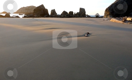 To use this stock image in your creative project, please select the size you need over to the right and click the "Add to Cart" button.
Your downloaded image will come with the Cutcaster watermark removed so don’t worry about the watermark you see on this page. Sandy dunes on beach stock photo, Wide perspective of sandy dunes on an Oregon beach by Jill Reid