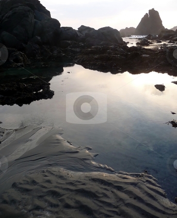 To use this stock image in your creative project, please select the size you need over to the right and click the "Add to Cart" button.
Your downloaded image will come with the Cutcaster watermark removed so don’t worry about the watermark you see on this page. Tidepools reflect the sunset on a rocky coastal shorel 542A stock photo, Tidepools reflect the sunset on a rocky coastal shore by Jill Reid