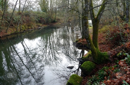 To use this stock image in your creative project, please select the size you need over to the right and click the "Add to Cart" button.
Your downloaded image will come with the Cutcaster watermark removed so don’t worry about the watermark you see on this page. Trees reflect in river with mossy rock bank stock photo, River reflects overhanging trees, mossy rocks line the river bank by Jill Reid