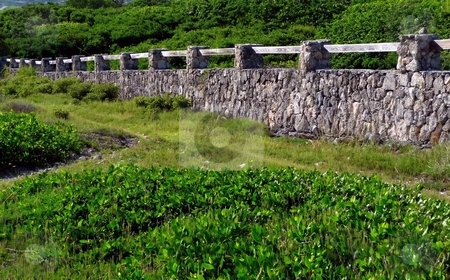 To use this stock image in your creative project, please select the size you need over to the right and click the "Add to Cart" button.
Your downloaded image will come with the Cutcaster watermark removed so don’t worry about the watermark you see on this page. Stone Wall stock photo, Tropical foliage and stone wall leading to the sea in St. Martin, FWI by Jill Reid