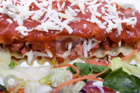 To use this stock image in your creative project, please select the size you need over to the right and click the "Add to Cart" button.
Your downloaded image will come with the Cutcaster watermark removed so don’t worry about the watermark you see on this page. High key Close up shot of Lasagna stock photo, High key Close up shot of Lasagna with salad - selective focus on Lasagna (background) by iodrakon