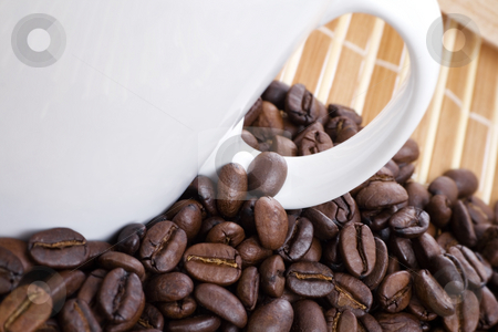 To use this stock image in your creative project, please select the size you need over to the right and click the "Add to Cart" button.
Your downloaded image will come with the Cutcaster watermark removed so don’t worry about the watermark you see on this page. Coffee beans and cup on bamboo stock photo, Closeup of coffee beans and cup on bamboo by iodrakon