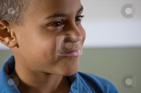 To use this stock image in your creative project, please select the size you need over to the right and click the "Add to Cart" button.
Your downloaded image will come with the Cutcaster watermark removed so don’t worry about the watermark you see on this page. Beautiful Bi-Racial Boy Smiling stock photo, Beautiful bi-racial boy is smiling in this closeup photo of his face. by Valerie Garner