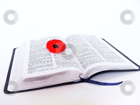 To use this stock image in your creative project, please select the size you need over to the right and click the "Add to Cart" button.
Your downloaded image will come with the Cutcaster watermark removed so don’t worry about the watermark you see on this page. Bible with poppy stock photo, An open Bible with a red Veterans poppy on the pages on white
background. by Horst Petzold