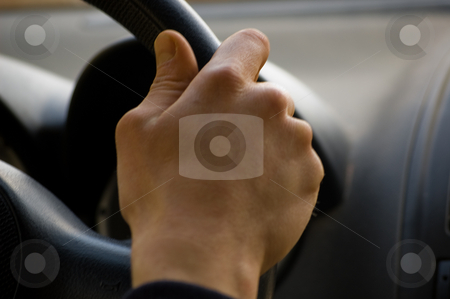 To use this stock image in your creative project, please select the size you need over to the right and click the "Add to Cart" button.
Your downloaded image will come with the Cutcaster watermark removed so don’t worry about the watermark you see on this page. Driving hand stock photo, by Piero Biondo