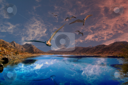 To use this stock image in your creative project, please select the size you need over to the right and click the "Add to Cart" button.
Your downloaded image will come with the Cutcaster watermark removed so don’t worry about the watermark you see on this page. Into my dreams stock photo, by Piero Biondo