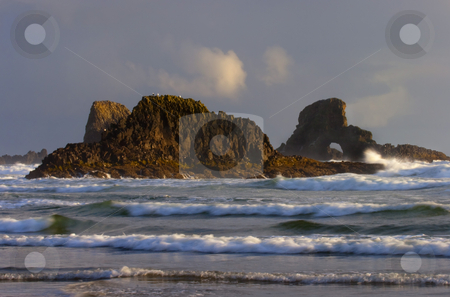 To use this stock image in your creative project, please select the size you need over to the right and click the "Add to Cart" button.
Your downloaded image will come with the Cutcaster watermark removed so don’t worry about the watermark you see on this page. Golden Arch stock photo, An arch in a seastacl off Ecola Beach bathed in the golden light of the setting sun. by Mike Dawson