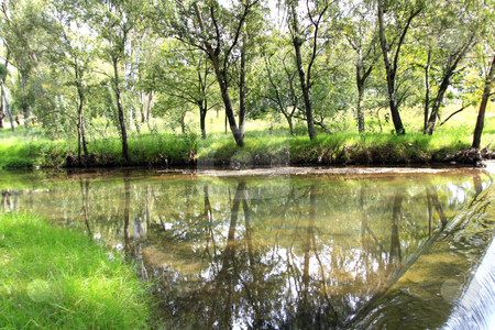 To use this stock image in your creative project, please select the size you need over to the right and click the "Add to Cart" button.
Your downloaded image will come with the Cutcaster watermark removed so don’t worry about the watermark you see on this page. Reflective lake stock photo, Trees reflective off a calm lake by Chris Alleaume