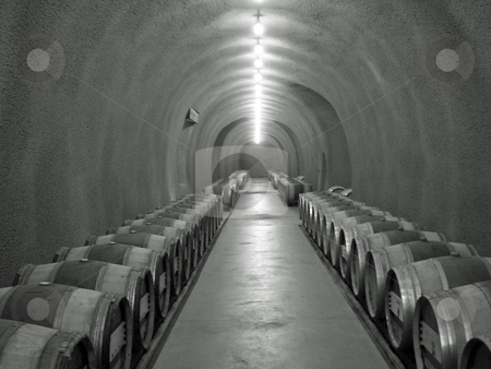 To use this stock image in your creative project, please select the size you need over to the right and click the "Add to Cart" button.
Your downloaded image will come with the Cutcaster watermark removed so don’t worry about the watermark you see on this page. Wine cellar stock photo, Black and white image of wine cellar by Jaime Pharr