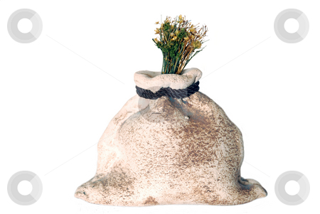 To use this stock image in your creative project, please select the size you need over to the right and click the "Add to Cart" button.
Your downloaded image will come with the Cutcaster watermark removed so don’t worry about the watermark you see on this page. Stone bag with a plant stock photo, Stone bag with a plant isolated on a white by Alexey Rumyantsev