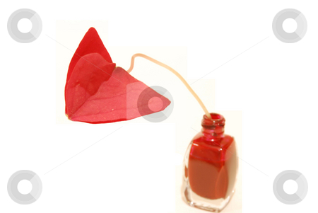 To use this stock image in your creative project, please select the size you need over to the right and click the "Add to Cart" button.
Your downloaded image will come with the Cutcaster watermark removed so don’t worry about the watermark you see on this page. Red nail polish stock photo, Red nail polish on a white with flower by Alexey Rumyantsev