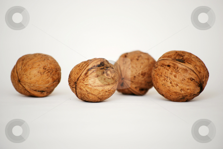 To use this stock image in your creative project, please select the size you need over to the right and click the "Add to Cart" button.
Your downloaded image will come with the Cutcaster watermark removed so don’t worry about the watermark you see on this page. Nuts stock photo, by Sarka