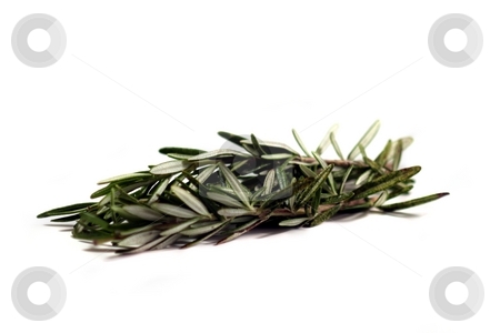 To use this stock image in your creative project, please select the size you need over to the right and click the "Add to Cart" button.
Your downloaded image will come with the Cutcaster watermark removed so don’t worry about the watermark you see on this page. Rosemary stock photo, Fresh green herb rosemary on white background. by Henrik Lehnerer