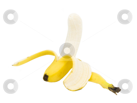 To use this stock image in your creative project, please select the size you need over to the right and click the "Add to Cart" button.
Your downloaded image will come with the Cutcaster watermark removed so don’t worry about the watermark you see on this page. Banana on white stock photo, Partially peeled banana on a white background by John Teeter