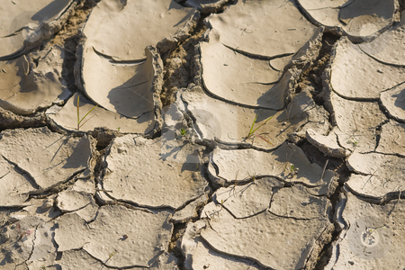 To use this stock image in your creative project, please select the size you need over to the right and click the "Add to Cart" button.
Your downloaded image will come with the Cutcaster watermark removed so don’t worry about the watermark you see on this page. Dry Land stock photo, Dry land cracked with out water by Paulo Resende