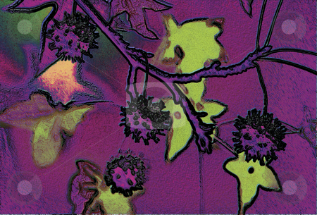 To use this stock image in your creative project, please select the size you need over to the right and click the "Add to Cart" button.
Your downloaded image will come with the Cutcaster watermark removed so don’t worry about the watermark you see on this page. Autumn Branch 7 stock photo, Autumn Branch by Miguel Dominguez