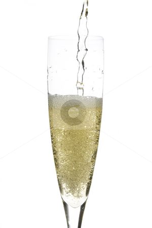 To use this stock image in your creative project, please select the size you need over to the right and click the "Add to Cart" button.
Your downloaded image will come with the Cutcaster watermark removed so don’t worry about the watermark you see on this page. Champagne glass celebration stock photo, Close up of an isolated glass cup of champagne by Ivan Montero