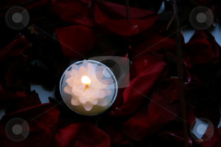 To use this stock image in your creative project, please select the size you need over to the right and click the "Add to Cart" button.
Your downloaded image will come with the Cutcaster watermark removed so don’t worry about the watermark you see on this page. Fire of petals stock photo, The candle with a bright flame on petals burns by Aleksandr GAvrilov