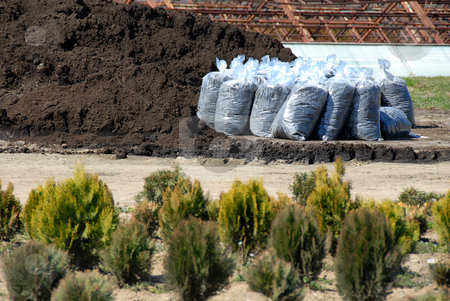 To use this stock image in your creative project, please select the size you need over to the right and click the "Add to Cart" button.
Your downloaded image will come with the Cutcaster watermark removed so don’t worry about the watermark you see on this page. Humus in sacks stock photo, Humus in transparent sacks for gardening outdoor by Julija Sapic
