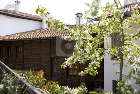 To use this stock image in your creative project, please select the size you need over to the right and click the "Add to Cart" button.
Your downloaded image will come with the Cutcaster watermark removed so don’t worry about the watermark you see on this page. City view old houses stock photo, City view with old houses Veliko Turnovo Bulgaria by Desislava Dimitrova