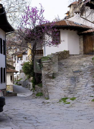 To use this stock image in your creative project, please select the size you need over to the right and click the "Add to Cart" button.
Your downloaded image will come with the Cutcaster watermark removed so don’t worry about the watermark you see on this page. City view old houses stock photo, City view with old houses Veliko Turnovo Bulgaria by Desislava Dimitrova