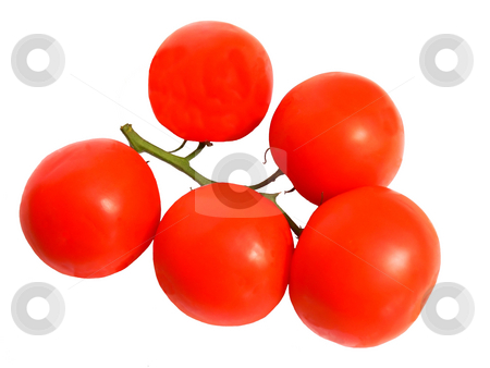 To use this stock image in your creative project, please select the size you need over to the right and click the "Add to Cart" button.
Your downloaded image will come with the Cutcaster watermark removed so don’t worry about the watermark you see on this page. Red tomatoes stock photo, A bunch of ripe red tomatoes still together on the stem on white background. by Horst Petzold