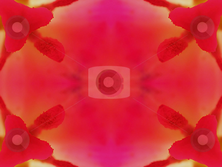 To use this stock image in your creative project, please select the size you need over to the right and click the "Add to Cart" button.
Your downloaded image will come with the Cutcaster watermark removed so don’t worry about the watermark you see on this page. Inner Radiance (Background Pattern) stock photo, Inner Radiance (Background Pattern) by Dazz Lee Photography